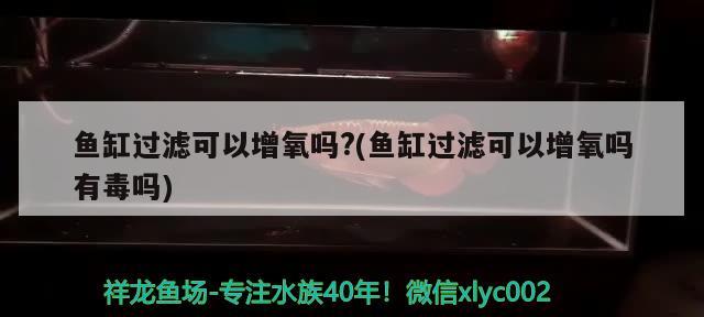 鱼缸过滤可以增氧吗?(鱼缸过滤可以增氧吗有毒吗)