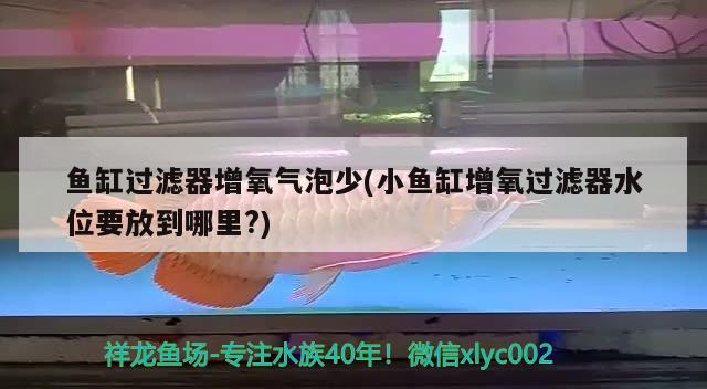 鱼缸过滤器增氧气泡少(小鱼缸增氧过滤器水位要放到哪里?) 广州龙鱼批发市场