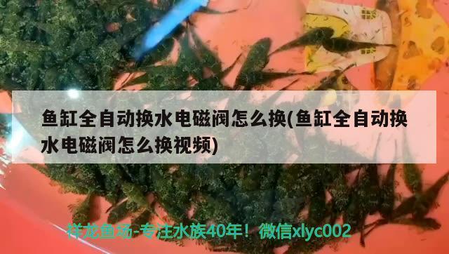 鱼缸全自动换水电磁阀怎么换(鱼缸全自动换水电磁阀怎么换视频)