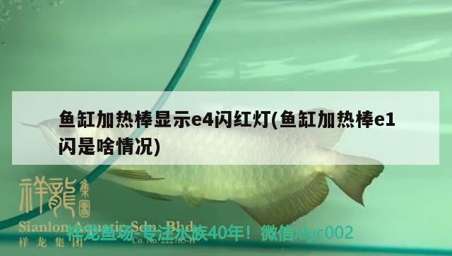 鱼缸加热棒显示e4闪红灯(鱼缸加热棒e1闪是啥情况) 红龙专用鱼粮饲料