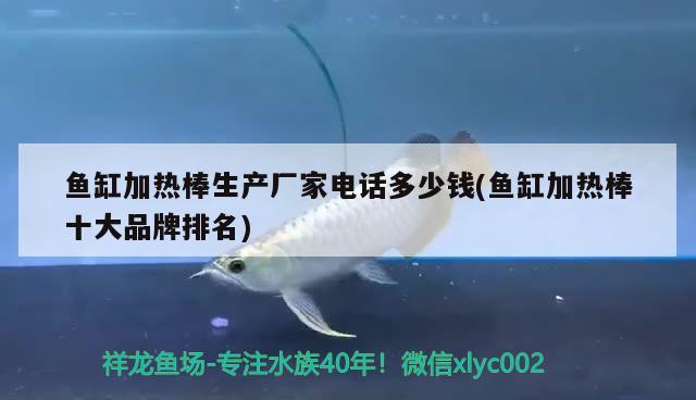 鱼缸加热棒生产厂家电话多少钱(鱼缸加热棒十大品牌排名) 水族用品