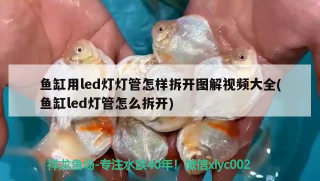 鱼缸用led灯灯管怎样拆开图解视频大全(鱼缸led灯管怎么拆开)