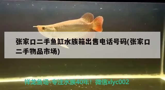 张家口二手鱼缸水族箱出售电话号码(张家口二手物品市场) 鱼缸/水族箱