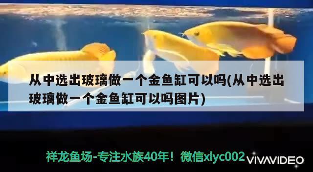 从中选出玻璃做一个金鱼缸可以吗(从中选出玻璃做一个金鱼缸可以吗图片)