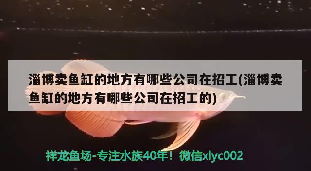 淄博卖鱼缸的地方有哪些公司在招工(淄博卖鱼缸的地方有哪些公司在招工的) 帝王迷宫鱼