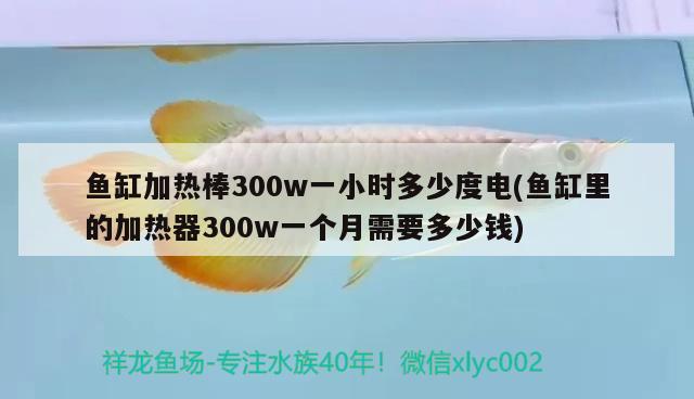 鱼缸加热棒300w一小时多少度电(鱼缸里的加热器300w一个月需要多少钱)