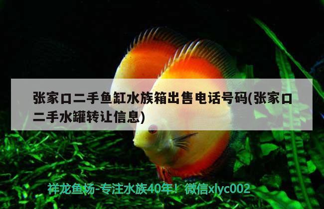 张家口二手鱼缸水族箱出售电话号码(张家口二手水罐转让信息) 鱼缸/水族箱