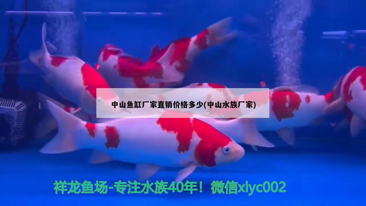 中山鱼缸厂家直销价格多少(中山水族厂家)