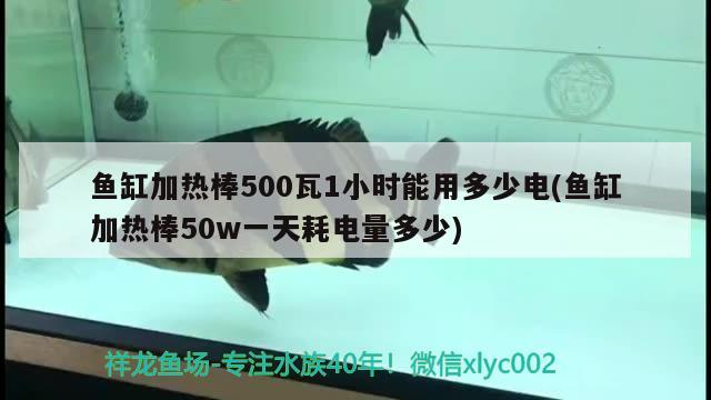 鱼缸加热棒500瓦1小时能用多少电(鱼缸加热棒50w一天耗电量多少)