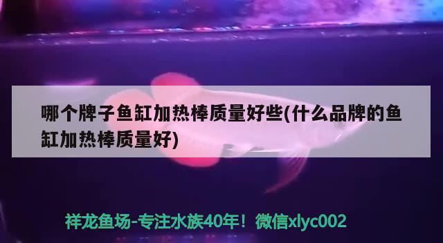 哪个牌子鱼缸加热棒质量好些(什么品牌的鱼缸加热棒质量好) 野彩鱼