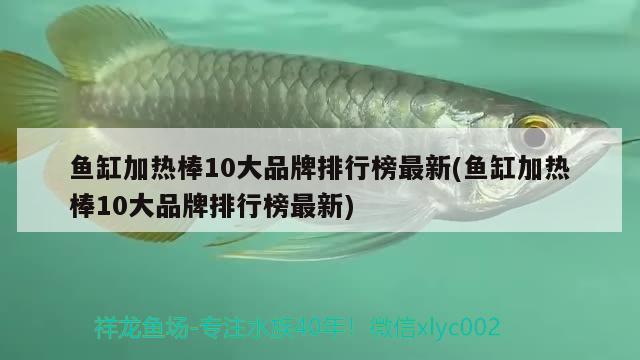 鱼缸加热棒10大品牌排行榜最新(鱼缸加热棒10大品牌排行榜最新) 帝王血钻鱼