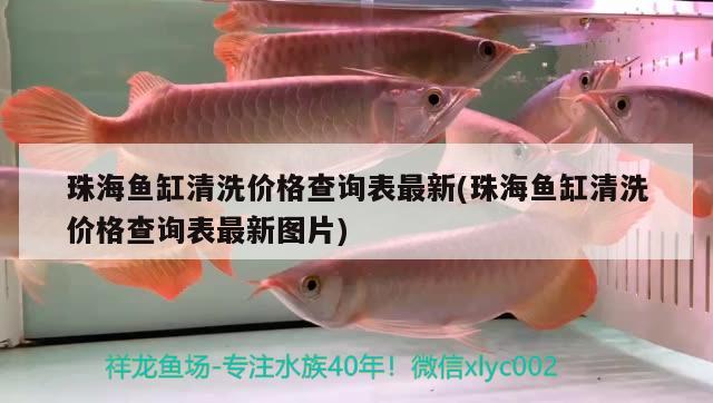 珠海鱼缸清洗价格查询表最新(珠海鱼缸清洗价格查询表最新图片)