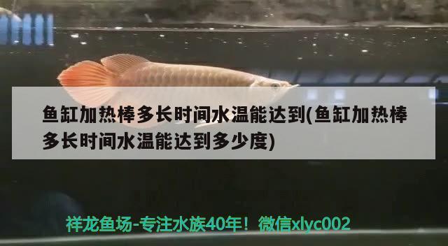 鱼缸加热棒多长时间水温能达到(鱼缸加热棒多长时间水温能达到多少度) 祥龙进口元宝凤凰鱼