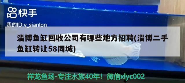 淄博鱼缸回收公司有哪些地方招聘(淄博二手鱼缸转让58同城) 小型观赏鱼