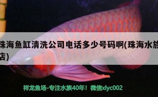 珠海鱼缸清洗公司电话多少号码啊(珠海水族店) 水族用品