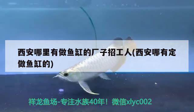 西安哪里有做鱼缸的厂子招工人(西安哪有定做鱼缸的)