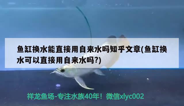 鱼缸换水能直接用自来水吗知乎文章(鱼缸换水可以直接用自来水吗?) 一眉道人鱼