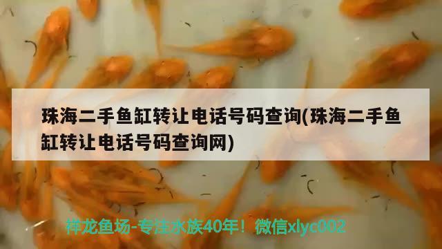 珠海二手鱼缸转让电话号码查询(珠海二手鱼缸转让电话号码查询网) 申古银版鱼