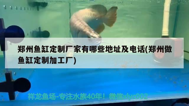 郑州鱼缸定制厂家有哪些地址及电话(郑州做鱼缸定制加工厂) 水族杂谈