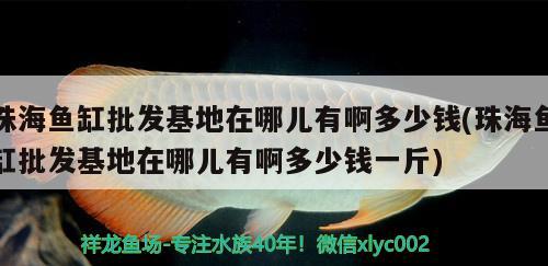 珠海鱼缸批发基地在哪儿有啊多少钱(珠海鱼缸批发基地在哪儿有啊多少钱一斤) 观赏鱼水族批发市场