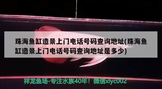 珠海鱼缸造景上门电话号码查询地址(珠海鱼缸造景上门电话号码查询地址是多少)