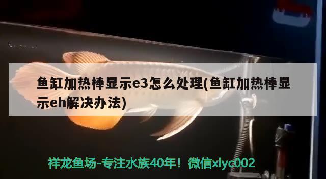 鱼缸加热棒显示e3怎么处理(鱼缸加热棒显示eh解决办法) 球鲨鱼