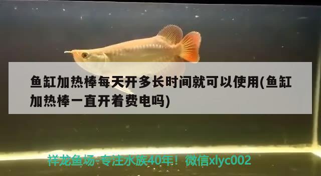 鱼缸加热棒每天开多长时间就可以使用(鱼缸加热棒一直开着费电吗)