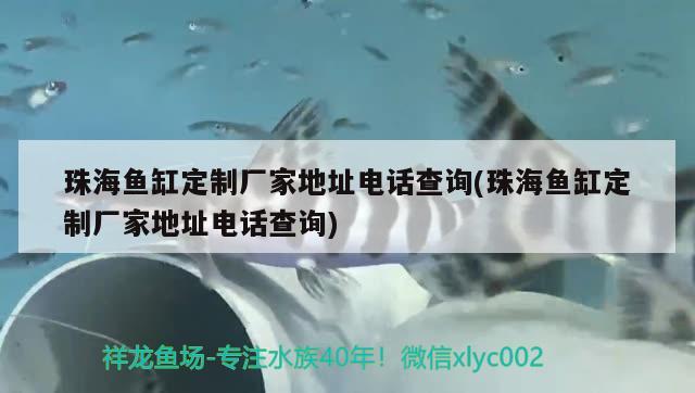 珠海鱼缸定制厂家地址电话查询(珠海鱼缸定制厂家地址电话查询) 观赏鱼鱼苗