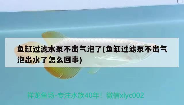 鱼缸过滤水泵不出气泡了(鱼缸过滤泵不出气泡出水了怎么回事)