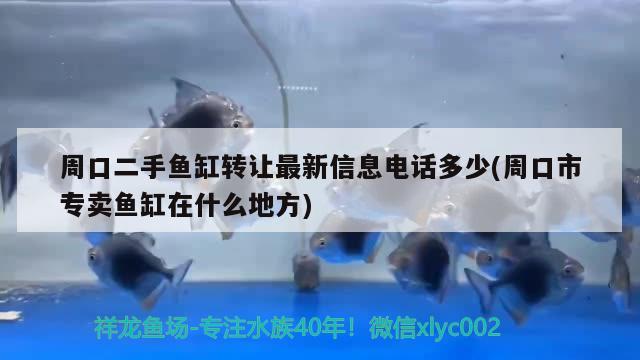 周口二手鱼缸转让最新信息电话多少(周口市专卖鱼缸在什么地方) 照明器材