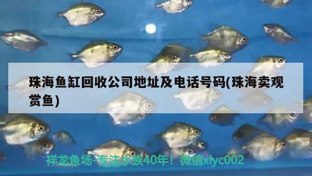 珠海鱼缸回收公司地址及电话号码(珠海卖观赏鱼)