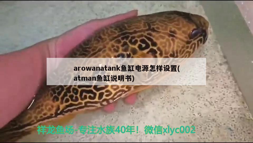 arowanatank鱼缸电源怎样设置(atman鱼缸说明书)