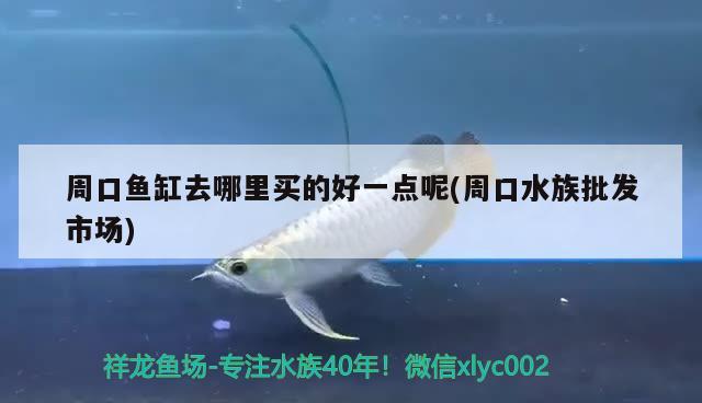 周口鱼缸去哪里买的好一点呢(周口水族批发市场)