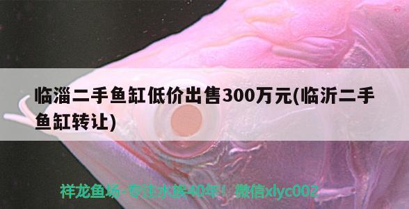 临淄二手鱼缸低价出售300万元(临沂二手鱼缸转让)