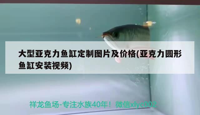 大型亚克力鱼缸定制图片及价格(亚克力圆形鱼缸安装视频) 斑马狗头鱼
