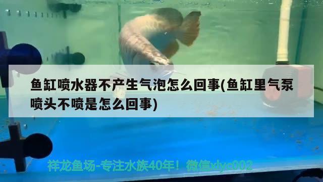 鱼缸喷水器不产生气泡怎么回事(鱼缸里气泵喷头不喷是怎么回事)