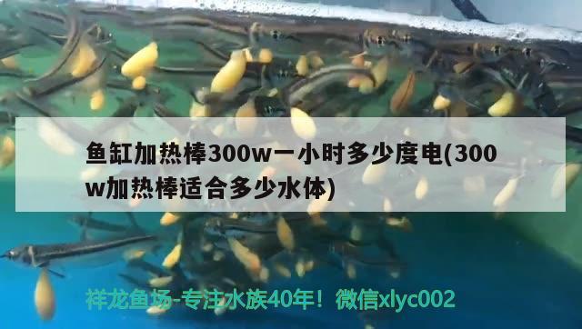 鱼缸加热棒300w一小时多少度电(300w加热棒适合多少水体) 水族灯（鱼缸灯）