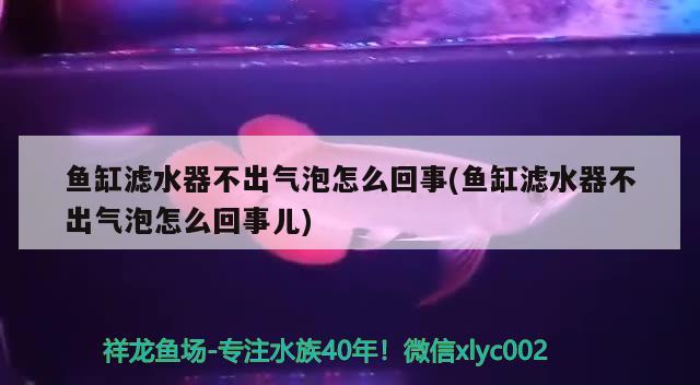 鱼缸滤水器不出气泡怎么回事(鱼缸滤水器不出气泡怎么回事儿) 红魔王银版鱼