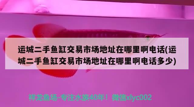 运城二手鱼缸交易市场地址在哪里啊电话(运城二手鱼缸交易市场地址在哪里啊电话多少)