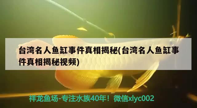 台湾名人鱼缸事件真相揭秘(台湾名人鱼缸事件真相揭秘视频)