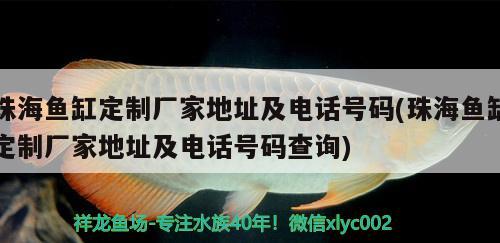 珠海鱼缸定制厂家地址及电话号码(珠海鱼缸定制厂家地址及电话号码查询)