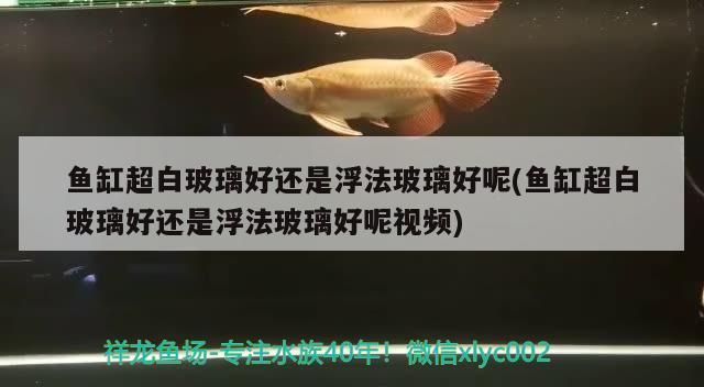 鱼缸超白玻璃好还是浮法玻璃好呢(鱼缸超白玻璃好还是浮法玻璃好呢视频) 鱼缸风水