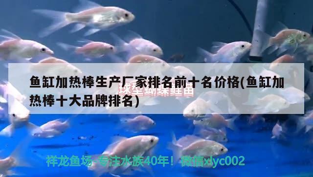 鱼缸加热棒生产厂家排名前十名价格(鱼缸加热棒十大品牌排名)