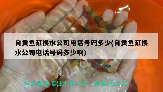 自贡鱼缸换水公司电话号码多少(自贡鱼缸换水公司电话号码多少啊)