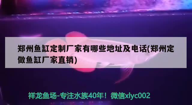 郑州鱼缸定制厂家有哪些地址及电话(郑州定做鱼缸厂家直销)