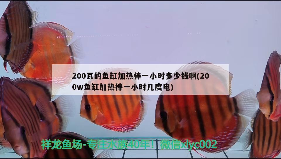 200瓦的鱼缸加热棒一小时多少钱啊(200w鱼缸加热棒一小时几度电) 罗汉鱼批发