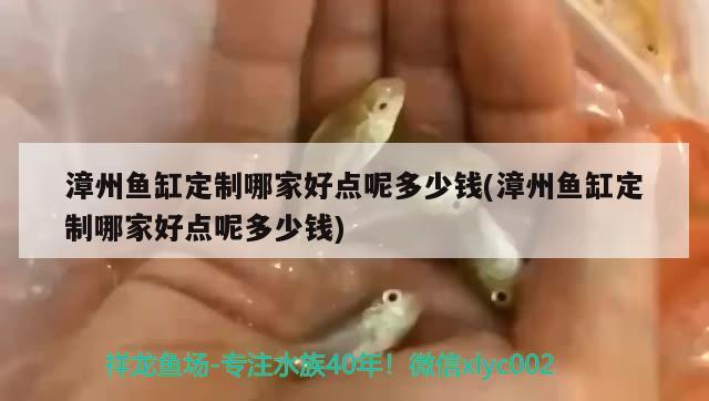 漳州鱼缸定制哪家好点呢多少钱(漳州鱼缸定制哪家好点呢多少钱)