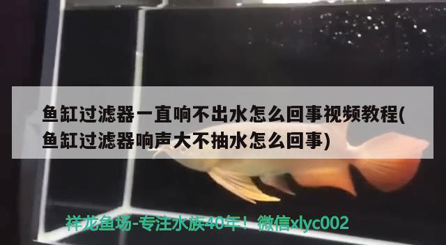 鱼缸过滤器一直响不出水怎么回事视频教程(鱼缸过滤器响声大不抽水怎么回事)