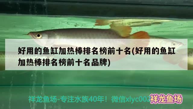 好用的鱼缸加热棒排名榜前十名(好用的鱼缸加热棒排名榜前十名品牌) 锦鲤鱼