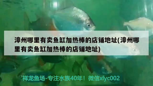 漳州哪里有卖鱼缸加热棒的店铺地址(漳州哪里有卖鱼缸加热棒的店铺地址) 三间鼠鱼